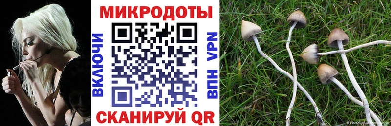 Галлюциногенные грибы GOLDEN TEACHER  Белёв 